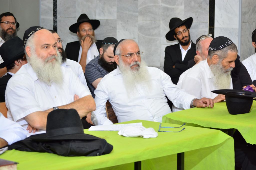 תמונה (202) (Large)